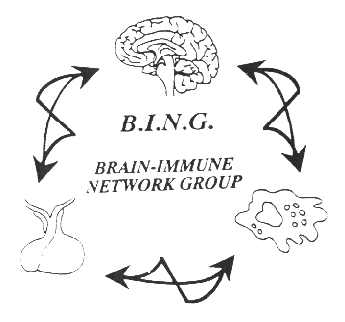 BING Logo