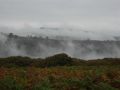 Mist on the hills