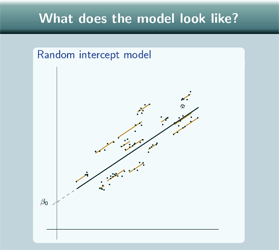 Slide with a graph of a random intercept model with parallel regression lines in different colours for each group