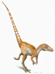 Reconstruction of a single Sinosauropteryx, sporting its orange and white striped tail
