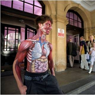 Anatomical body painting