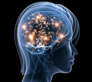 Generic image of an 'active brain'