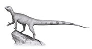 Thecodontosaurs antiquus - Integument