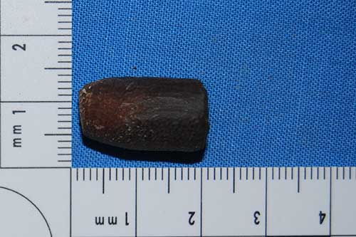 Image of a bullet fired by Lawrence at Hallat Ammar 